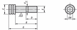 LOCATING BOLT FORM B  M12X55    BR